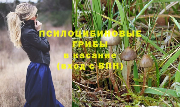 амф Магадан