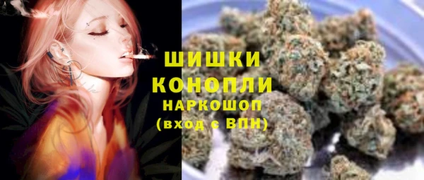 хмурый Осинники