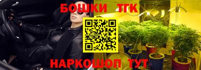 винт Дубна