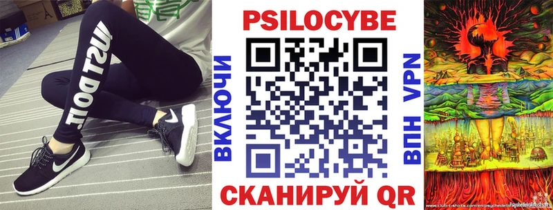 Псилоцибиновые грибы GOLDEN TEACHER  даркнет как зайти  Тайшет 