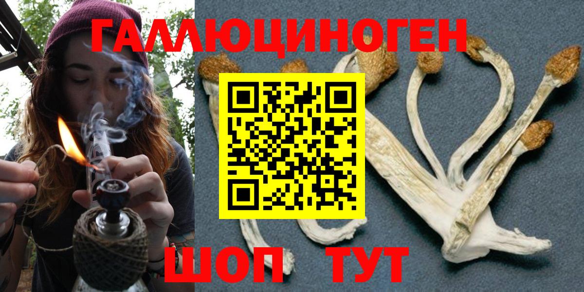 Псилоцибиновые грибы MAGIC MUSHROOMS Тайшет