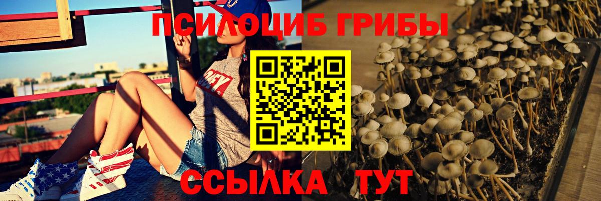 купить  цена  Галлюциногенные грибы Magic Shrooms  Вход с VPN  Псилоцибиновые грибы Cubensis  Тайшет 