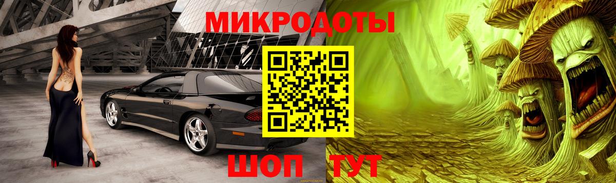 Псилоцибиновые грибы мицелий Тайшет