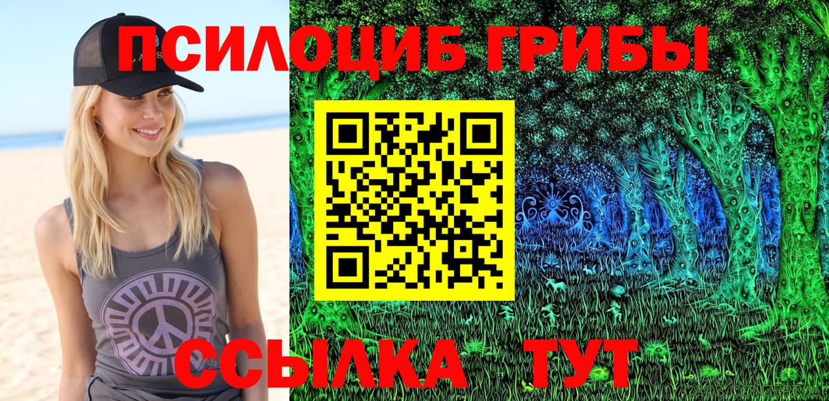 Галлюциногенные грибы Cubensis  Тайшет 