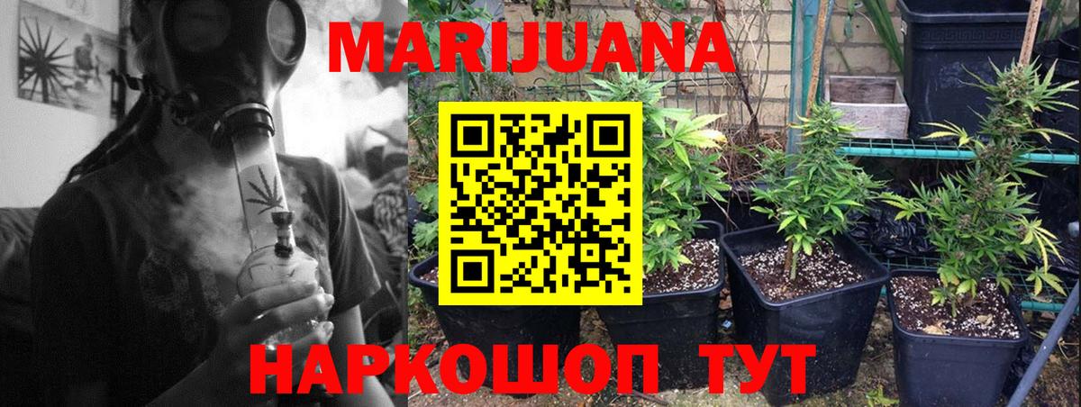 Бошки марихуана OG Kush Тайшет
